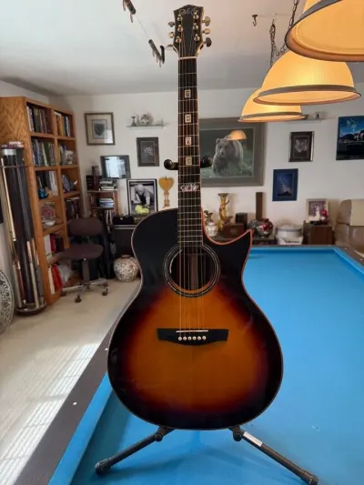 Acoustic Guitar by Global Five Star Manufacturing Co., Ltd.