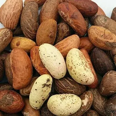 NATRAJ THE RIGHT CHOICE BELGIRI MURABBA 1KG by TAJ EMPORIUM