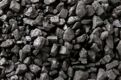 Coal by Bid To Lead Globe LLC