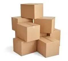 Carton Box by Shaarvi Packages