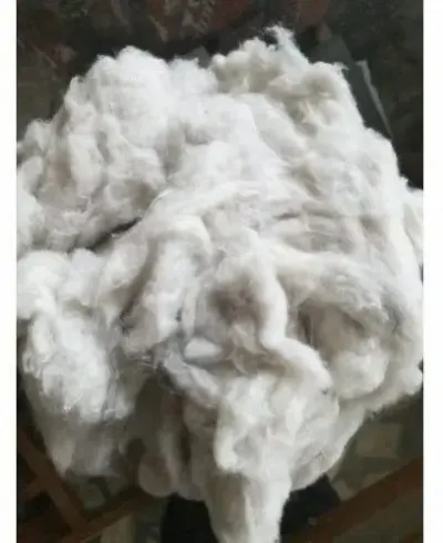 Raw Cotton/Cotton Fiber by Narmada Cotex