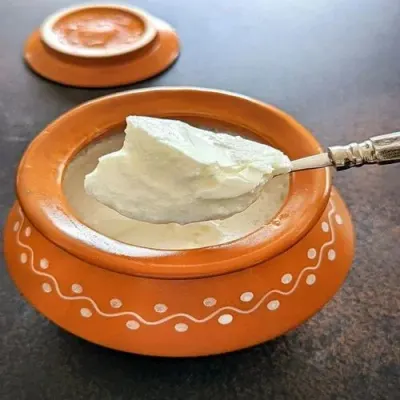 Curd Powder by NVR Nutrition Pvt Ltd