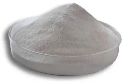 Xylanase by SBH Foods Pvt. Ltd.