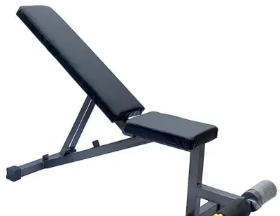 Life Fitness Adjustable Bench by Fitness Power Store