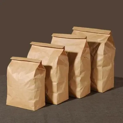 Corn Starch Carry Bag by Soujata Exim