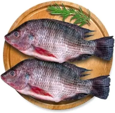 Pangasius & Basa Whole Round by Nghi Son Aquatic Product Import Export Co., Ltd