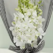 Orchid by Shrimi International Trade Pvt. Ltd.