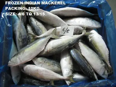 Fresh or Frozen Emperor Fish by Rwad Al-Ibtikar Co LLC