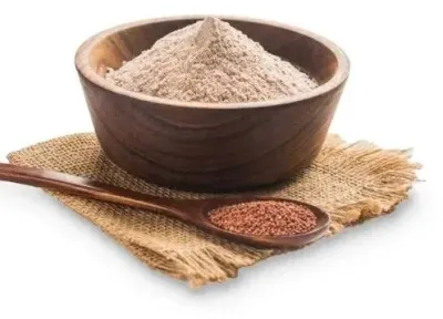 Barley Malt, Wheat Malt, Caramel Malt by Saporum Sp. Z O.o.