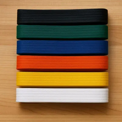 Martial Art Belt by Minzi Industries
