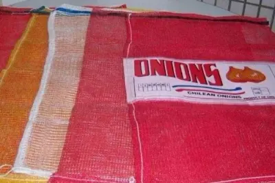 18x21 Inch Leno Mesh Bag by Divya Mono Filament Yarn