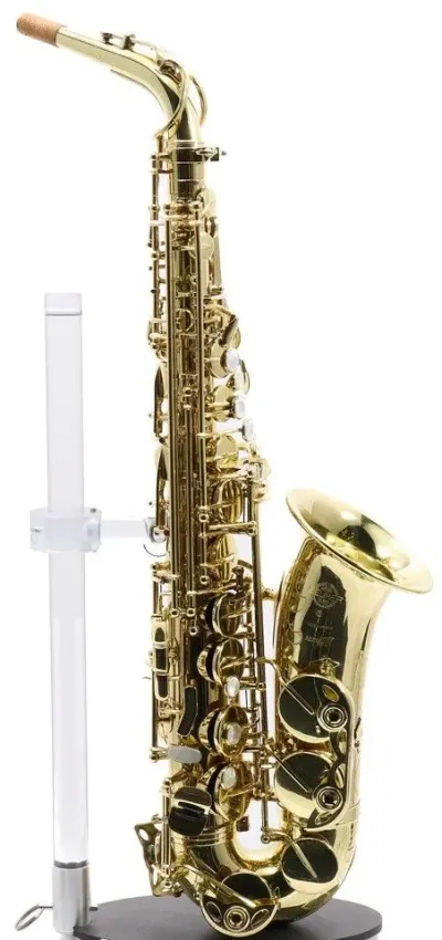Tenor saxophone seller by Beijing Excellence Musical Instruments Co., Ltd.