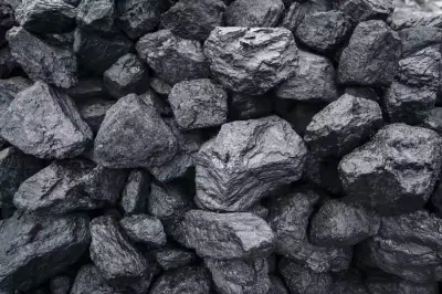 Steam coal by Falcon Ltd