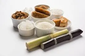 Sugarcane Powder by NVR Nutrition Pvt Ltd