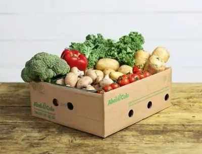 Fruit Boxes by Pt Indo Mitra Bersama