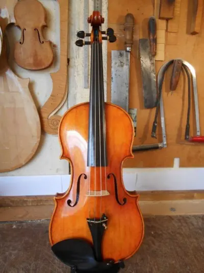 Violin by Manson Music