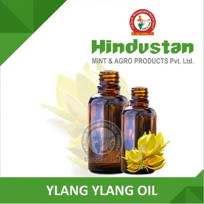 Ylang Ylang by Reddis N.P. International