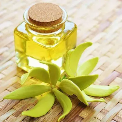 Ylang Ylang Extra Oils by SBH Foods Pvt. Ltd.