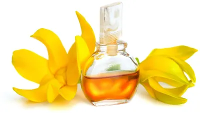 Ylang Ylang Oil by Giva Agro