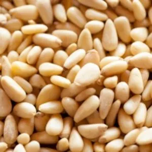 Pine Nuts For Sale