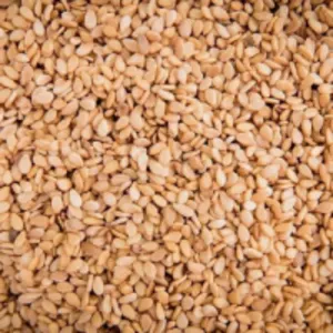 Whitish Sesame Seed