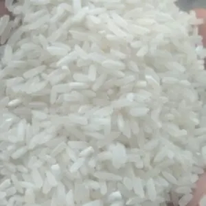 Rice Ir64