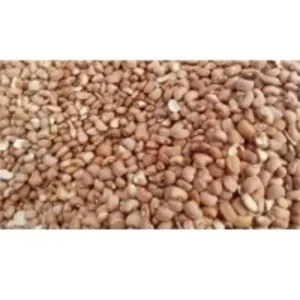Brown Beans