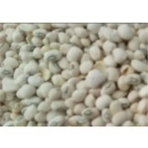 White Beans