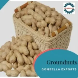 Peanuts/groundnuts