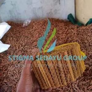 Cinnamon Sticks Grade Aa by PT Nurhaz Kun Jaya