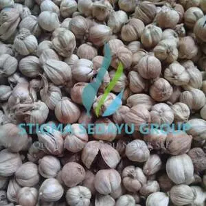 Cardamom