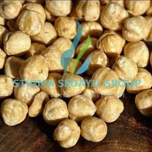 Candlenut