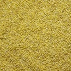Yellow Millet
