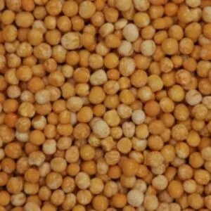 Whole Peas Yellow Polished