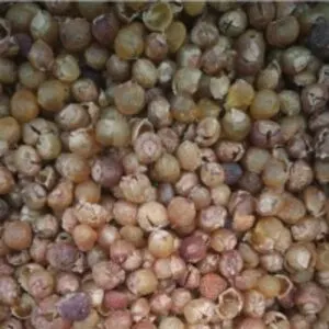 Soap Nuts