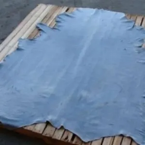 Wet Blue Cow Hide