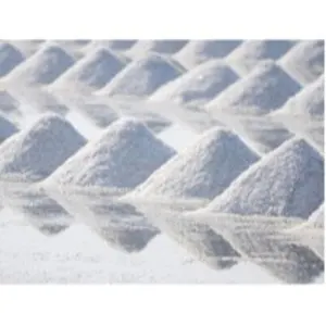Salt