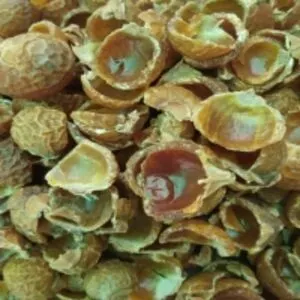 Soap Nuts