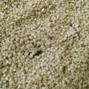 Unhulled White Sesame Seeds
