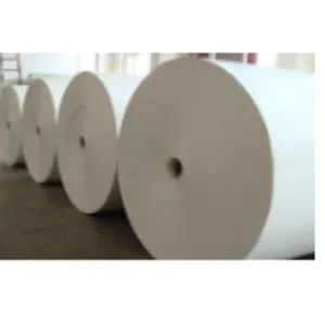 Publishing Paper