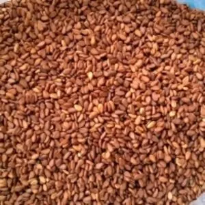 Brown Sesame Seeds