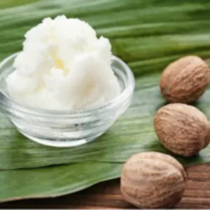 Organic Refined Shea Butter