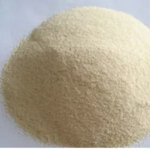 Onion Powder