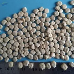 Sortex Sweet Lupine