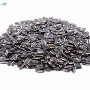 Striped Sunflower Seeds, Pioneer Type