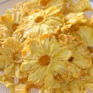 Dehydrated Pineapple Slice