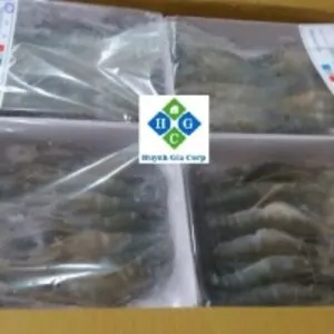 Frozen Scampi Shrimp (Freshwater Shrimp)