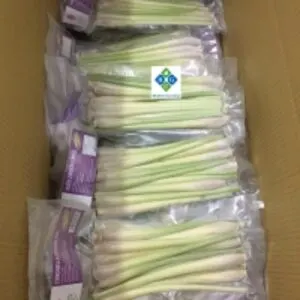 Frozen Lemongrass Whole