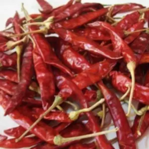Red Chilli