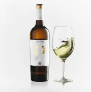 High Quality Sweet Fruit Plum Dessert Wine